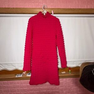 Elegant Red Textured Dress